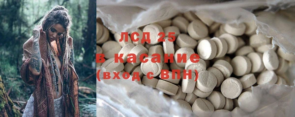 ГАЛЛЮЦИНОГЕННЫЕ ГРИБЫ Арсеньев
