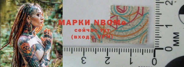 ГАЛЛЮЦИНОГЕННЫЕ ГРИБЫ Арсеньев