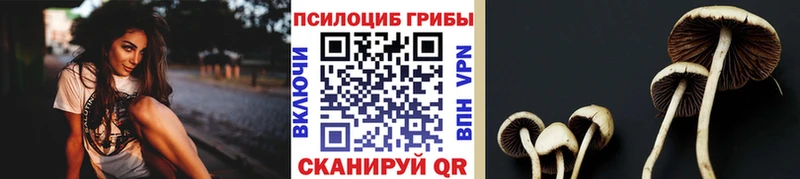Псилоцибиновые грибы мухоморы ОМГ ОМГ ссылки Нижнеудинск